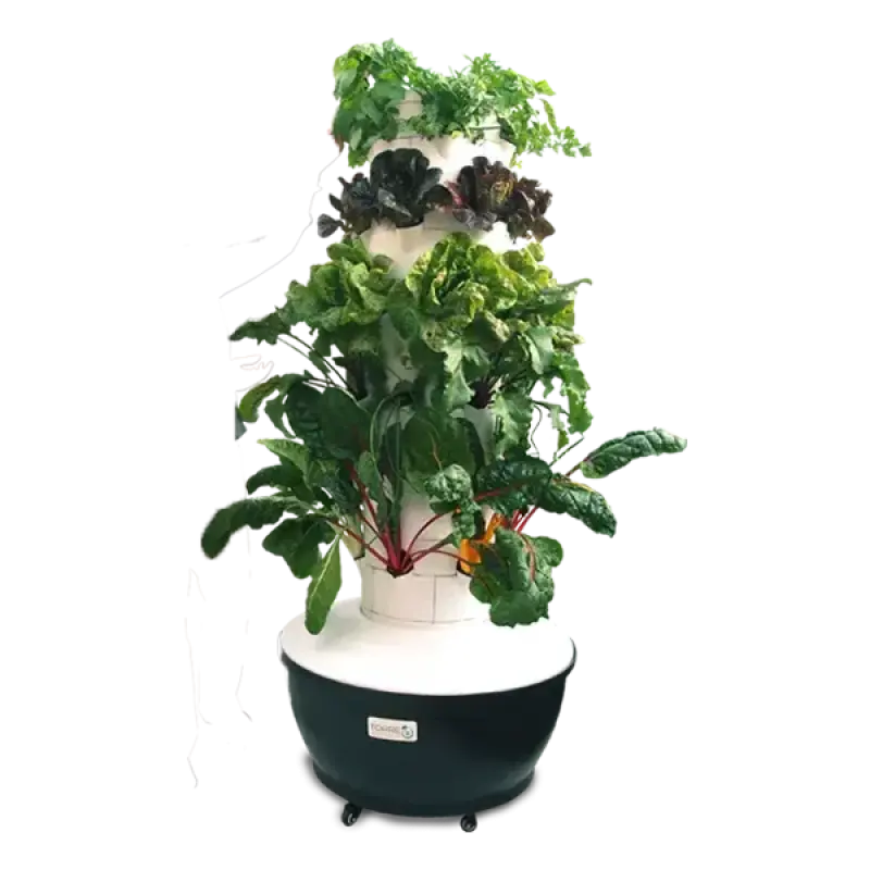 Tamku's Aeroponics