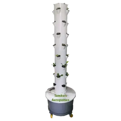 Tamku's Aeroponics