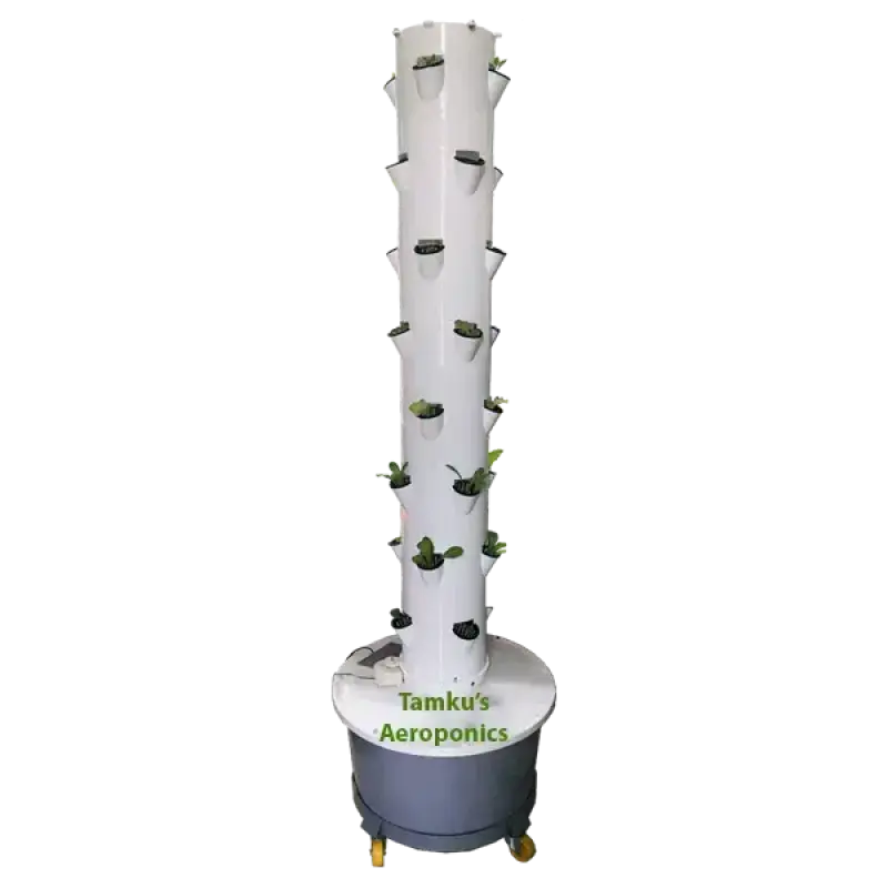 Tamku's Aeroponics