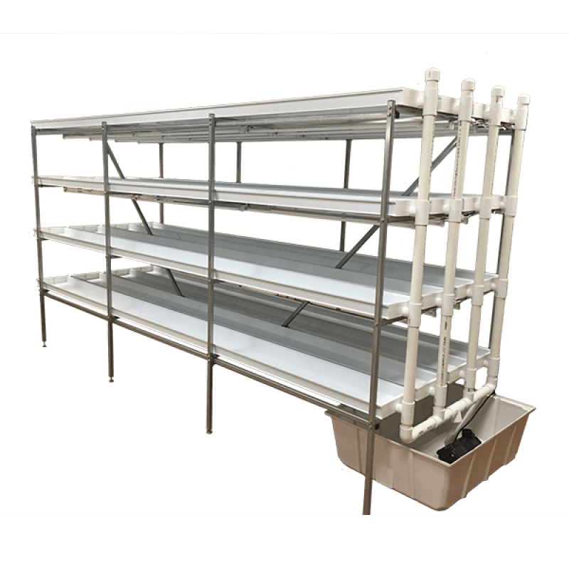 Tamku's Hydroponics