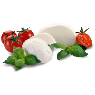 Tamku's Mozzarella Cheese